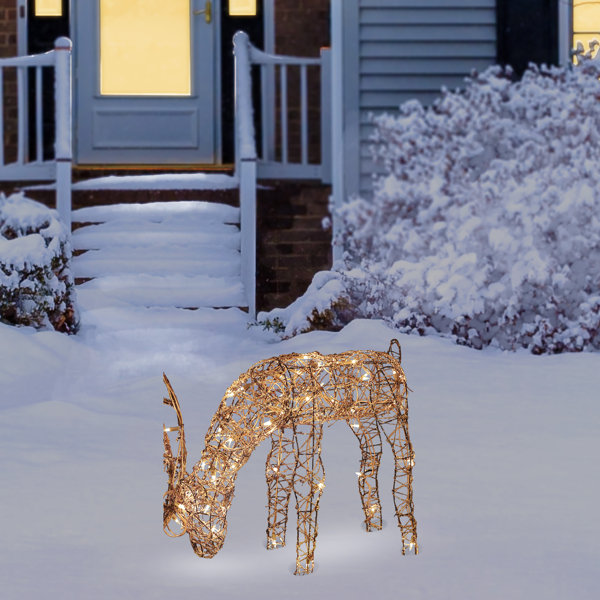 Charlton Home® Herne Outdoor/Indoor Christmas Grazing Reindeer Lighted